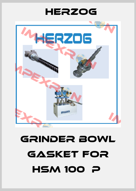 grinder bowl gasket for HSM 100  P  Herzog