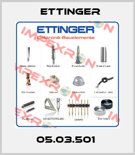 05.03.501  Ettinger