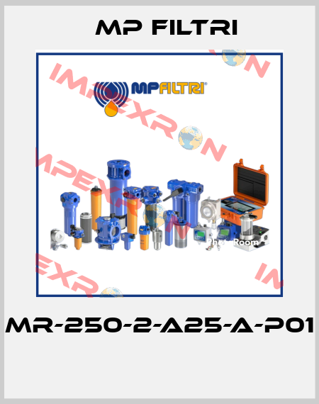 MR-250-2-A25-A-P01  MP Filtri