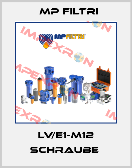 LV/E1-M12 Schraube  MP Filtri