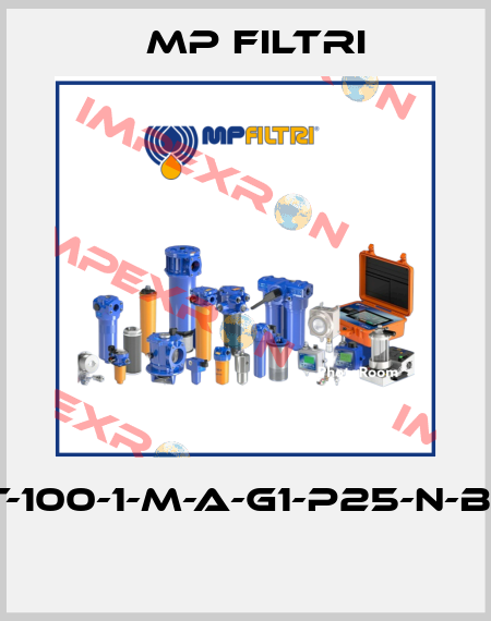 MPT-100-1-M-A-G1-P25-N-B-P01  MP Filtri