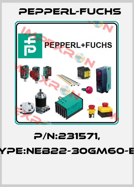 P/N:231571, Type:NEB22-30GM60-E0  Pepperl-Fuchs