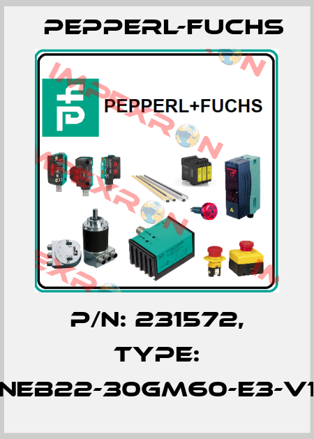 p/n: 231572, Type: NEB22-30GM60-E3-V1 Pepperl-Fuchs