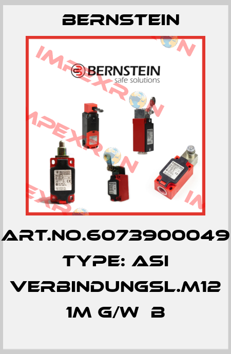 Art.No.6073900049 Type: ASI VERBINDUNGSL.M12 1M G/W  B Bernstein