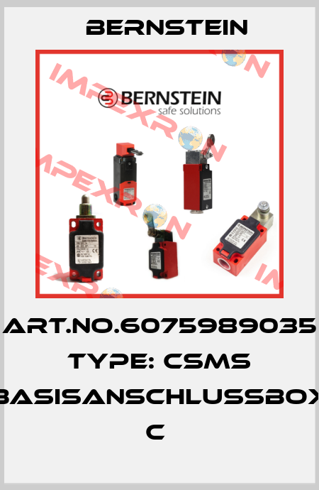 Art.No.6075989035 Type: CSMS BASISANSCHLUSSBOX       C  Bernstein