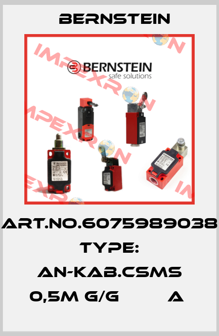 Art.No.6075989038 Type: AN-KAB.CSMS 0,5M G/G         A  Bernstein