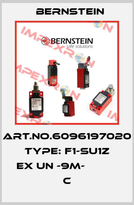 Art.No.6096197020 Type: F1-SU1Z EX UN -9M-           C Bernstein