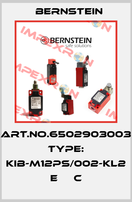 Art.No.6502903003 Type: KIB-M12PS/002-KL2      E     C Bernstein