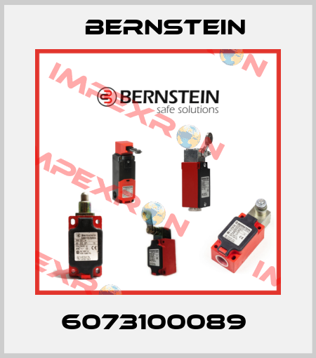 6073100089  Bernstein