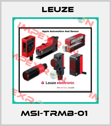 MSI-TRMB-01  Leuze