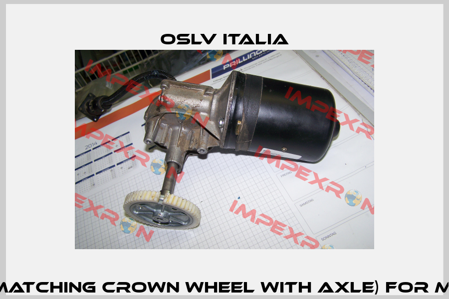 spareparts (Matching crown wheel with axle) for motor 9901007  OSLV Italia