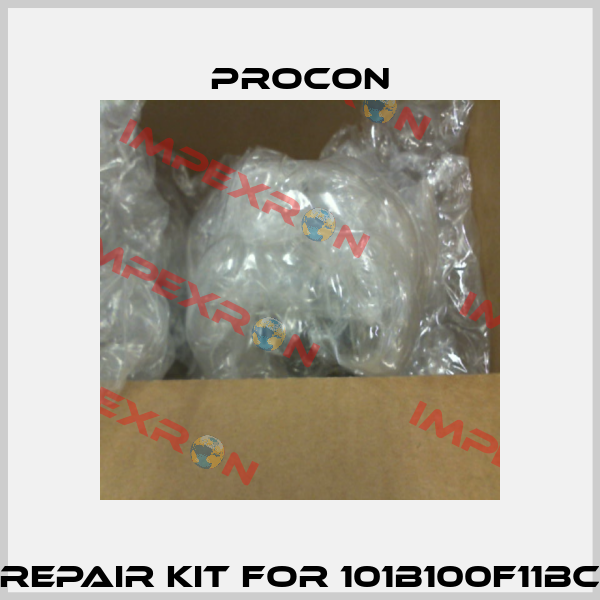 Repair kit for 101B100F11BC Procon