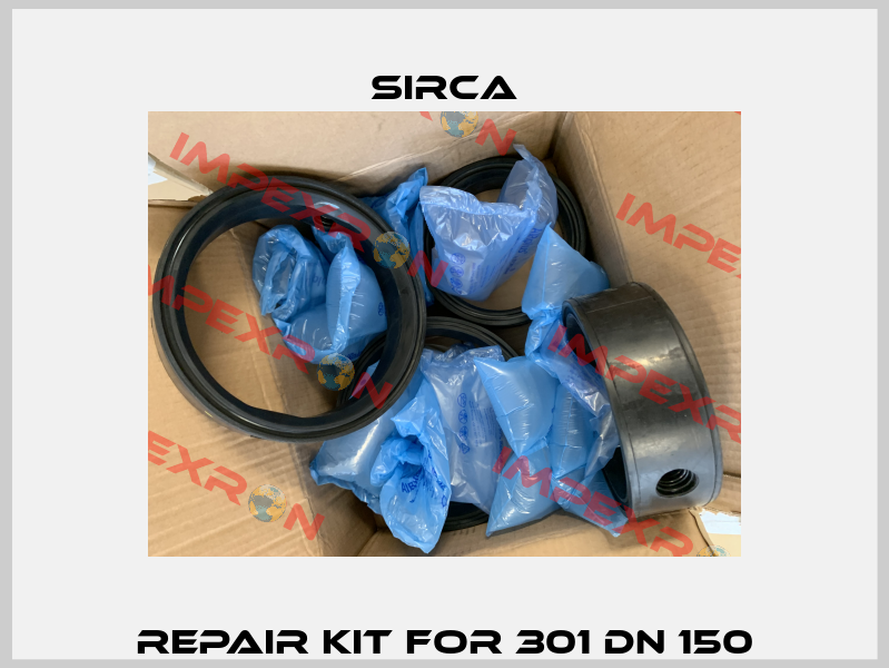 Repair kit for 301 DN 150 Sirca