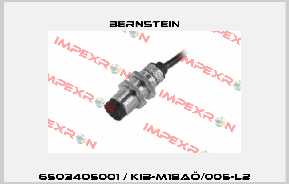 6503405001 / KIB-M18AÖ/005-L2 Bernstein