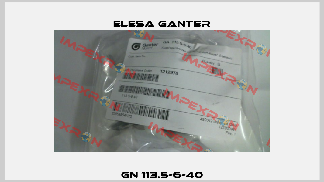 GN 113.5-6-40 Elesa Ganter